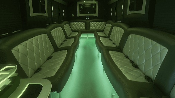 30 passenger party bus interior