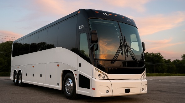 elizabeth airport shuttles