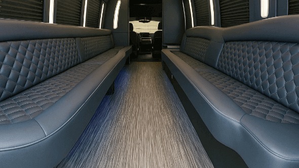new rochelle 20 passenger party bus