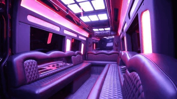 the bronx 14 passenger sprinter limousine rental