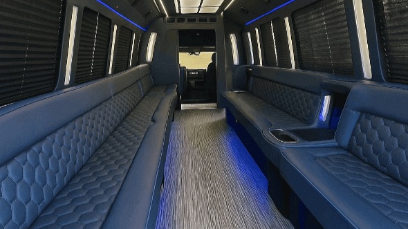 the bronx 28 passenger party bus interior