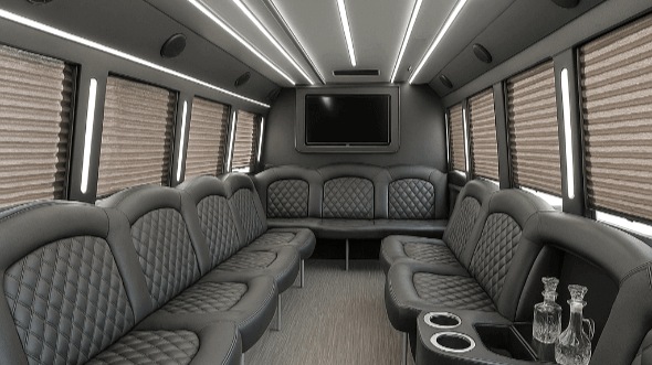 the bronx 28 passenger party bus rental